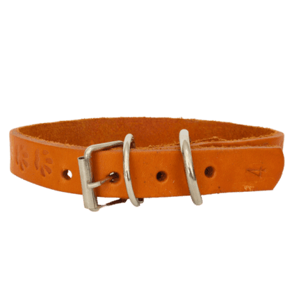 collar de cuero broche