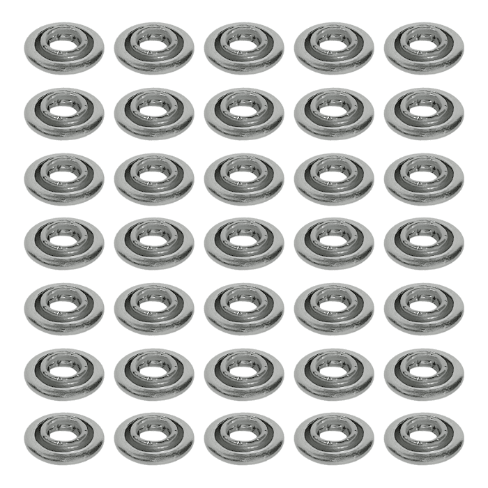 Hembra Perla Princesa Hembra Perla Princesa