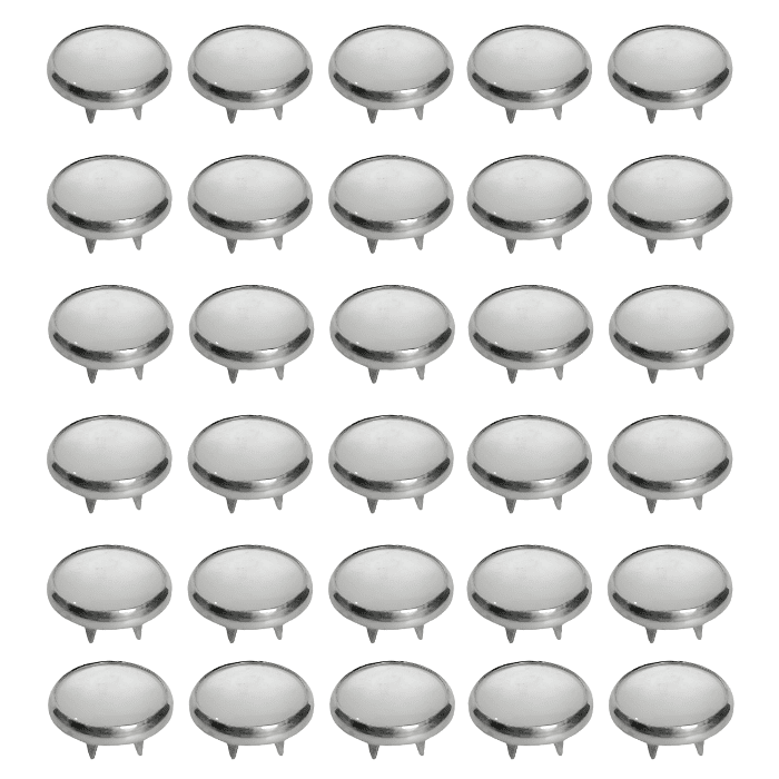 Perla Princesa Perla Princesa