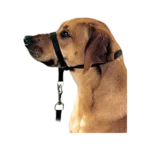 Halter para perro